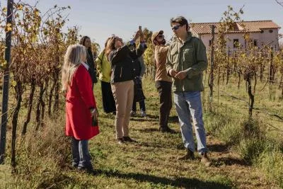 Thumbnail Cata de vinos naturales y paseo por los viñedos, Atto Vino y Cantina Leonardi