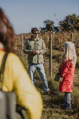 Thumbnail Degustazione di vini naturali e passeggiata nei vigneti, Atto Vino e Cantina Leonardi