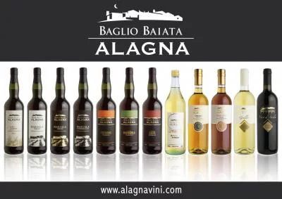 Thumbnail Guided Tour & Wine and Food Tasting at Alagna Vini