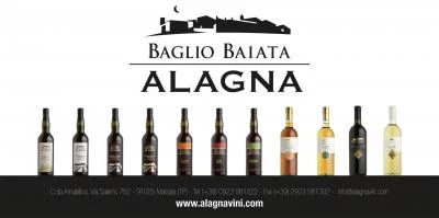 Thumbnail Tour guidato e degustazione di vino e cibo presso Alagna Vini