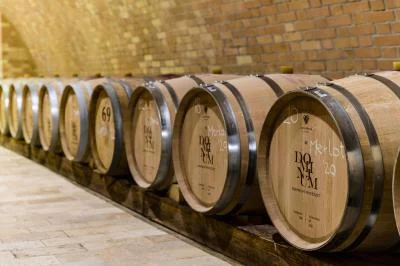 Thumbnail Momenti Domini: Tour e degustazione della cantina a Mátra