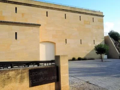 Thumbnail Domaine Ollier Taillefer: Cata de vinos ecológicos y visita a la bodega en Faugères