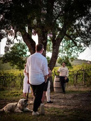 Thumbnail Degustazione di vini e visita alla cantina light presso Clantenova in Chianti