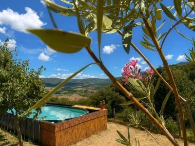 Thumbnail Leichte Weinprobe & Tour im Clantenova Weingut in Chianti