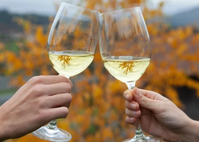 Thumbnail Excursión privada en Txakoli con cata de vinos en Getaria desde San Sebastián