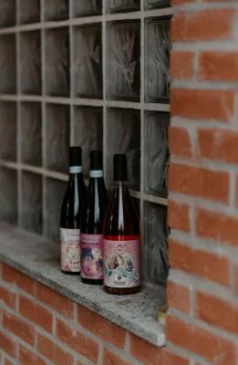 Thumbnail Vivi Le Langhe: Degustazione di vini a Bricco di Neive da Beatrice Cortese