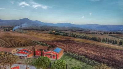 Thumbnail Visit and Tasting – “Le Selezioni” Bolgheri DOC at Tenuta Di Vaira