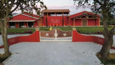 Thumbnail Visita e degustazione - "Le Selezioni" Bolgheri DOC presso Tenuta Di Vaira