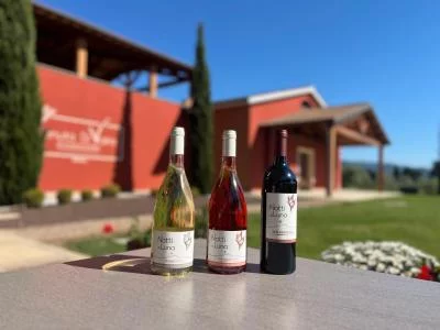 Thumbnail Visita e degustazione - "Le Selezioni" Bolgheri DOC presso Tenuta Di Vaira