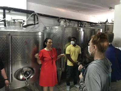 Thumbnail The Winemaker Experience in Irpinia: Blending, Bottling & Tasting