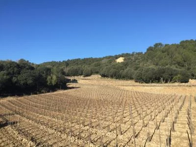 Thumbnail World Wine Flight : dégustation et visite chez Roberto Cipresso à Montalcino
