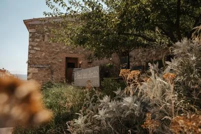 Thumbnail El Jardí dels Sentits: Un'esperienza sensoriale in un chiostro storico