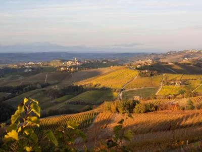 Thumbnail Private Wine Experience: Cellar Tour & Curated Tasting at Diego Pressenda Winery
