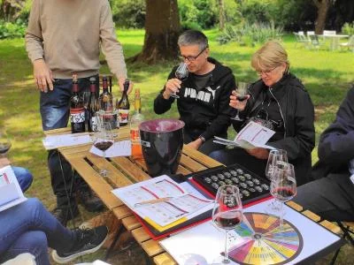 Thumbnail Ruta del Vino en Grupo Reducido por Gaillac desde Toulouse