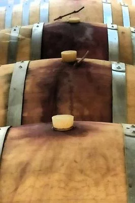 Thumbnail Gaillac Kleingruppen-Weintour ab Toulouse