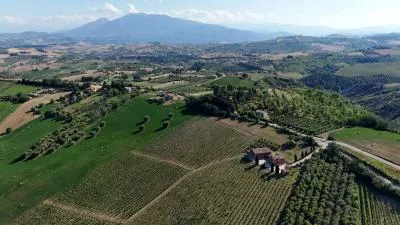 Thumbnail Visite privée et dégustation de vins avec des produits locaux chez D'Erasmo Vini