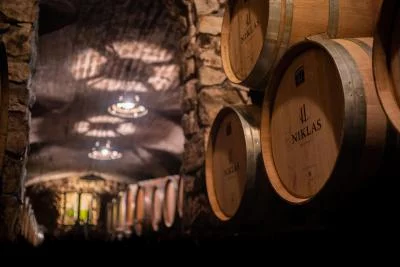 Thumbnail Guided Tour & Tasting of Rarity DJJ Wines at Weingut Niklas