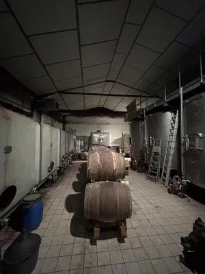 Thumbnail Degustazione di vini Châteauneuf-du-Pape e wine tour al Domaine Bois de Boursan