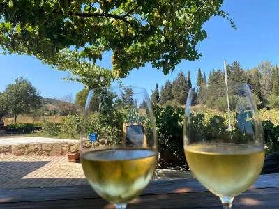 Thumbnail Sclavos Estate Weinprobe &amp; Food Pairing Experience auf Kefalonia