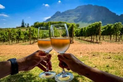 Thumbnail Aventura enológica en Cefalonia con 18 catas de vino en 3 bodegas