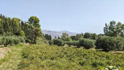 Thumbnail Weinerlebnis Kefalonia: Sklavos &amp; Haritatos Weingüter