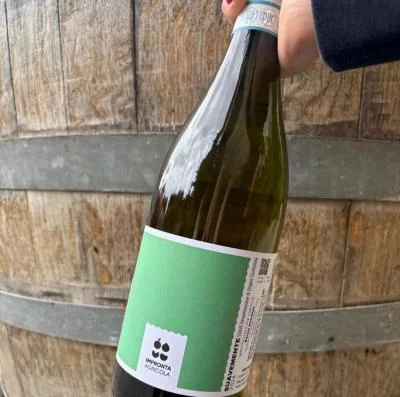 Thumbnail Soave & Valpolicella Verkostung im Weinberg von Il Roccolo di Monticelli