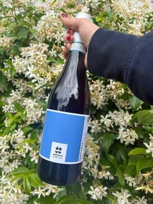 Thumbnail Soave & Valpolicella Verkostung im Weinberg von Il Roccolo di Monticelli