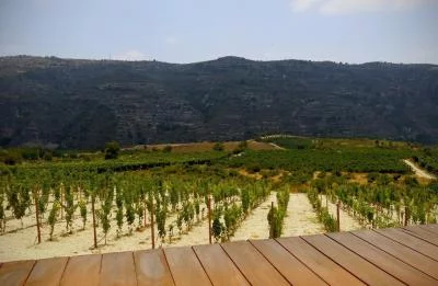 Thumbnail Troodos Vino Venture: Tour durch Bergdörfer und Weingüter ab Limassol