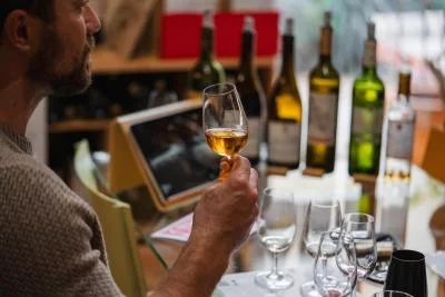 Thumbnail Burdeos: Cata de vinos con maridaje de quesos y embutidos gourmet