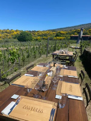 Thumbnail Weintour und leichtes Mittagessen im Palmento Costanzo