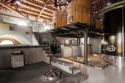 Thumbnail Wine tour and light lunch experience at Palmento Costanzo