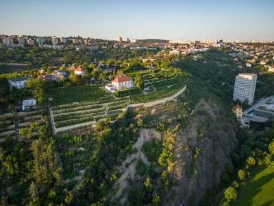 Thumbnail Dégustation privée de vin et de nourriture à la cave boutique Jabloňka avec vue sur Prague