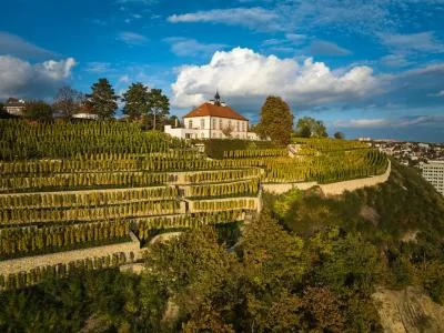 Thumbnail Degustazione privata di vino e cibo presso la cantina di charme Jabloňka con vista su Praga