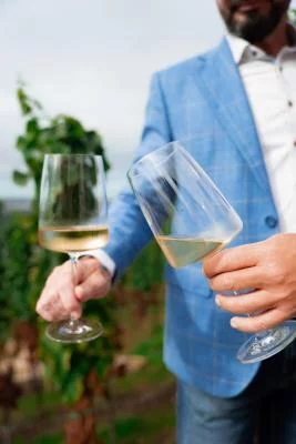 Thumbnail Dégustation privée de vin et de nourriture à la cave boutique Jabloňka avec vue sur Prague