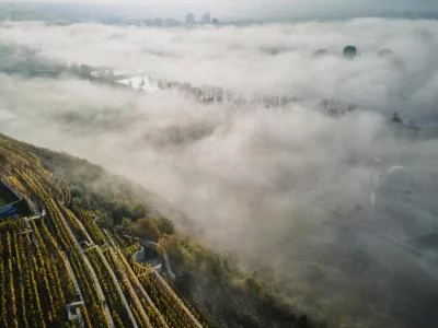 Thumbnail Dégustation privée exclusive de vins avec des délices locaux à la cave boutique Jabloňka