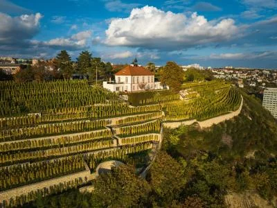 Thumbnail Esclusiva degustazione privata di vini con prelibatezze locali presso la cantina di charme Jabloňka
