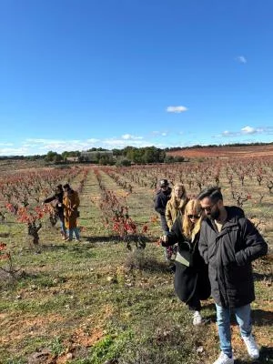 Thumbnail Ruta del Vino Utiel-Requena desde Valencia