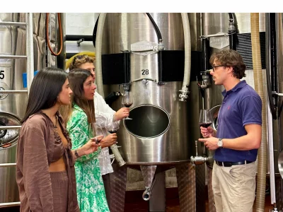 Thumbnail Wine tour delle cantine con degustazione di vino e cibo a Bologna