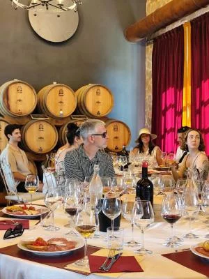Thumbnail Tuscany Wine Experience: 3 Wineries Tour from Florence, San Giminiano or Chianti