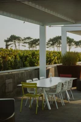 Thumbnail L'isola in un bicchiere: Tour e degustazione di vini alla Tenuta di Castellaro