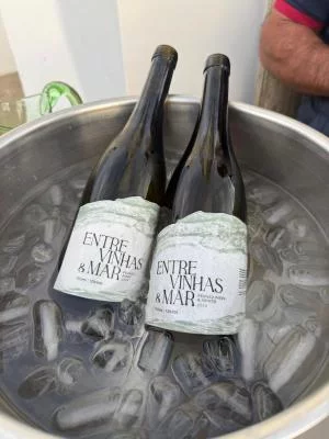 Thumbnail Degustazione di vino Entre Vinhas & Mar a Óbidos