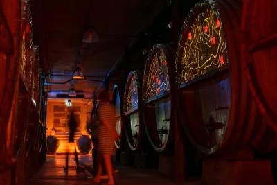 Thumbnail Tour immersivo della cantina, degustazione e tè intorno al vino presso la cantina Zeyssolff in Alsazia