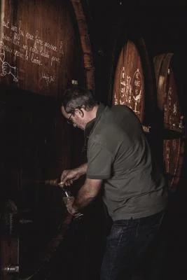 Thumbnail Immersive Cellar Tour, Tasting, and Tea Time around Wine at Zeyssolff Winery in Alsace
