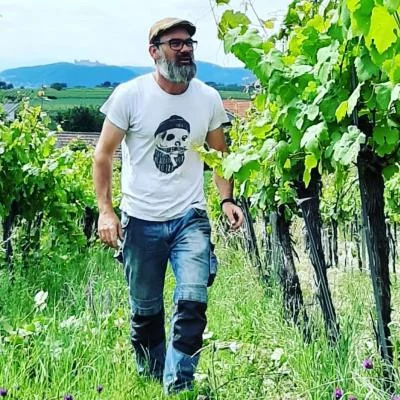 Thumbnail "Short Tour" Organic Wine Tasting & Winery Visit at Weingut Zöller