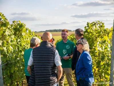 Thumbnail Meet the Winemaker: Vineyard Tour & Guided Tasting at Vignoble du Haut Escaut