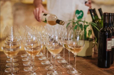 Thumbnail Diocletian’s Palace Guided Tour and Wine Tasting in Split