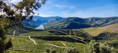 Thumbnail Pinhão : Alto Douro Full-Day Tour avec 2 caves, promenade en bateau et déjeuner