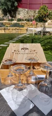 Thumbnail Manzwine & Tapas Wine Tasting Experience cerca de Lisboa