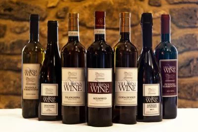 Thumbnail Dégustation de vin et de saveurs locales Expérience dans un cadre charmant à Casale Villarena