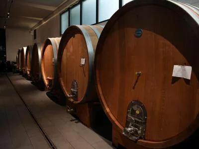 Thumbnail Vertical Nascetta Wine Tasting at Castello di Perno